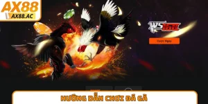 Hướng Dẫn Chơi Đá Gà